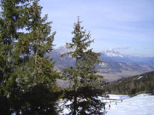 dsc00005.jpg